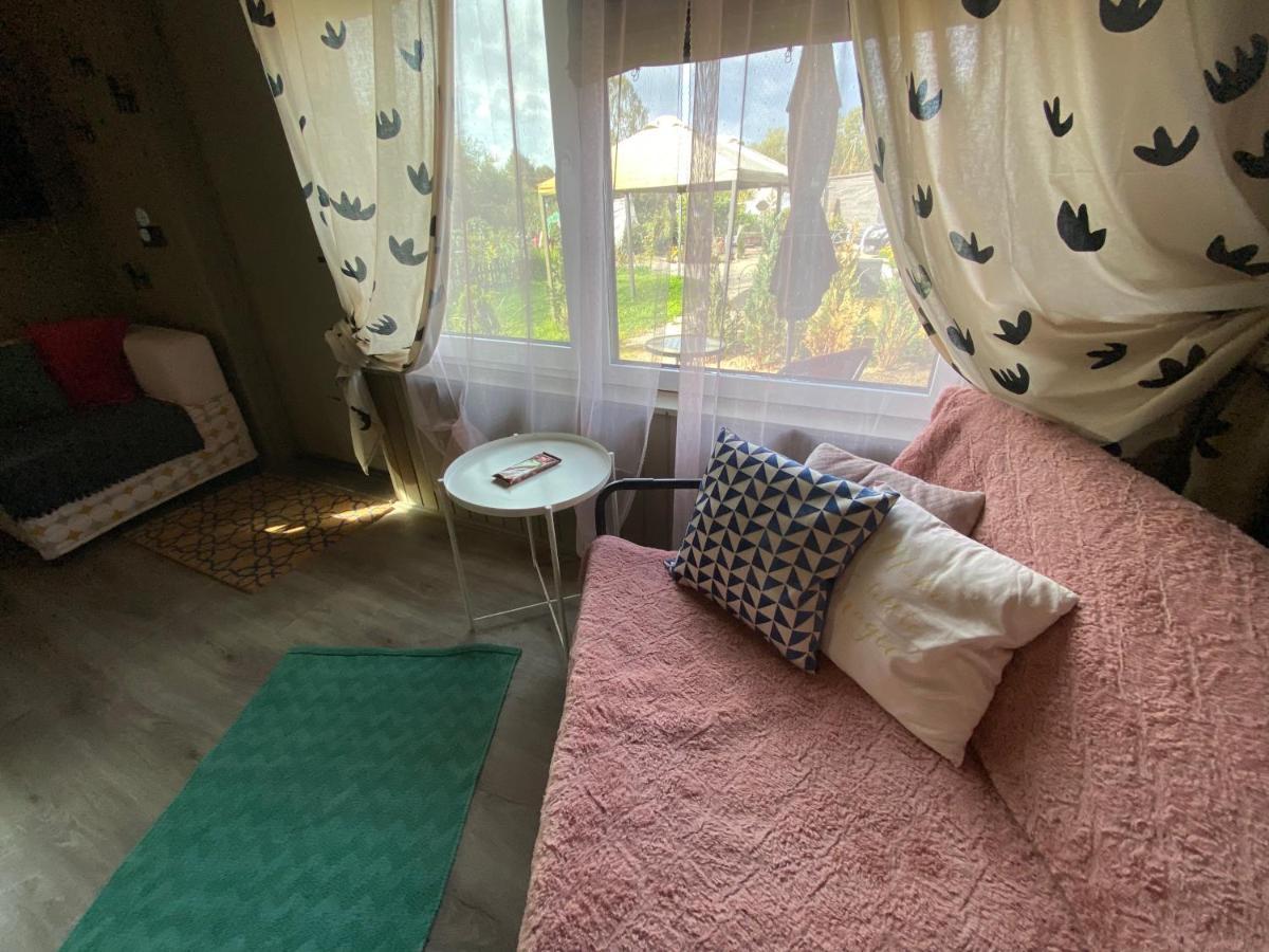 リガ Amazing Little House On An Island With Gardenヴィラ エクステリア 写真
