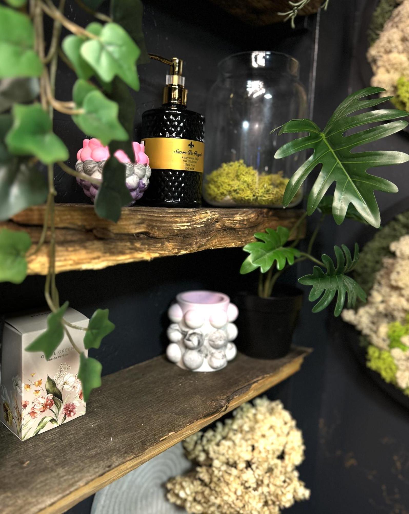 リガ Amazing Little House On An Island With Gardenヴィラ エクステリア 写真